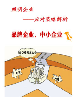 企业应对策略分析